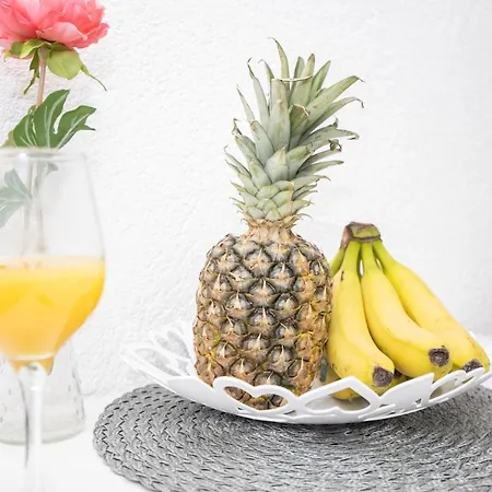 Best Location In 아파트 두브로브니크